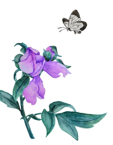 Ilustración Acuarela Con Una Hermosa Flor Lila Estas Son Flores —  Fotos de Stock