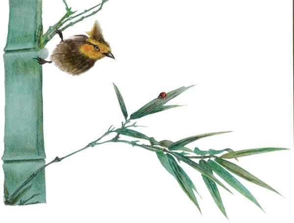 A watercolor illustration shows a bird and a beetle on a bamboo branch. Illustration executed in chinese style, isolated on white background.