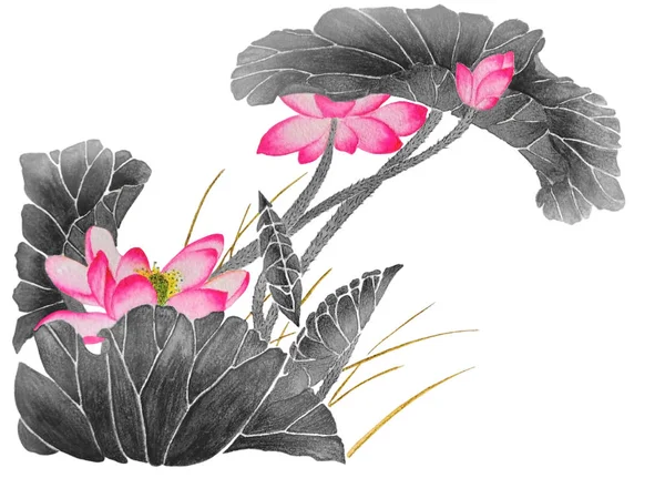 Watercolors Beautiful Flowering Pink Lotuses Illustration Executed Traditional Chinese Style — Stock Photo, Image