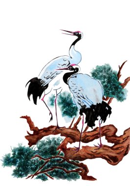 Suluboya ile bir çift güzel vinç ağaç dal. Beyaz arka plan üzerinde izole geleneksel Çince stilde yürütülen illüstrasyon.