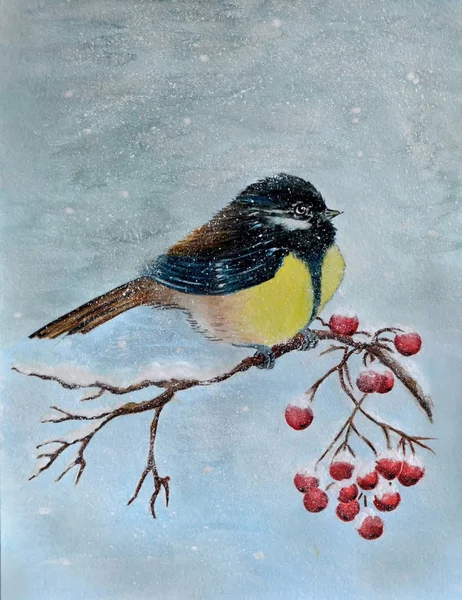 Akvarel Ptáka Větvi Rowan Sýkorka Která Hledá Jeřabiny Sněhu Zimě — Stock fotografie