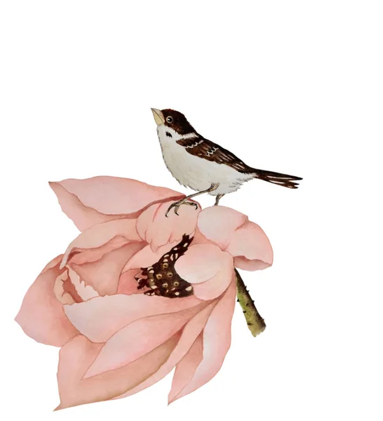 Ilustração Aquarela Com Belo Pássaro Que Senta Uma Flor Lótus — Fotografia de Stock