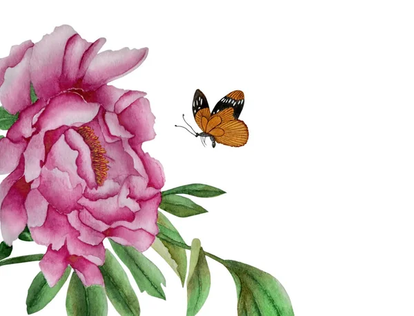 Aquarel Illustratie Een Delicate Sluit Grote Bloem Van Roze Pioen — Stockfoto