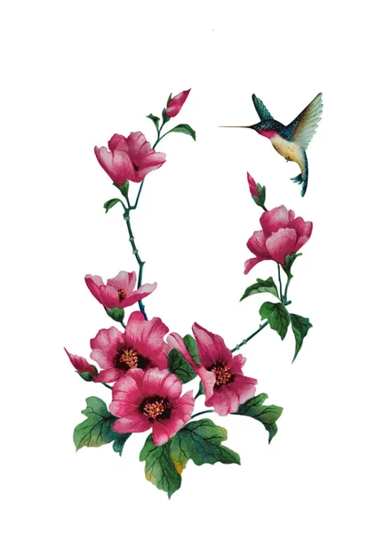 Aquarel Illustratie Met Delicate Mallow Bloem Roze Roos Een Mooie — Stockfoto
