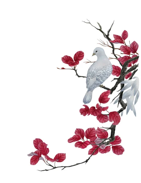 Uma pomba branca em um galho de árvore com folhas vermelhas — Fotografia de Stock
