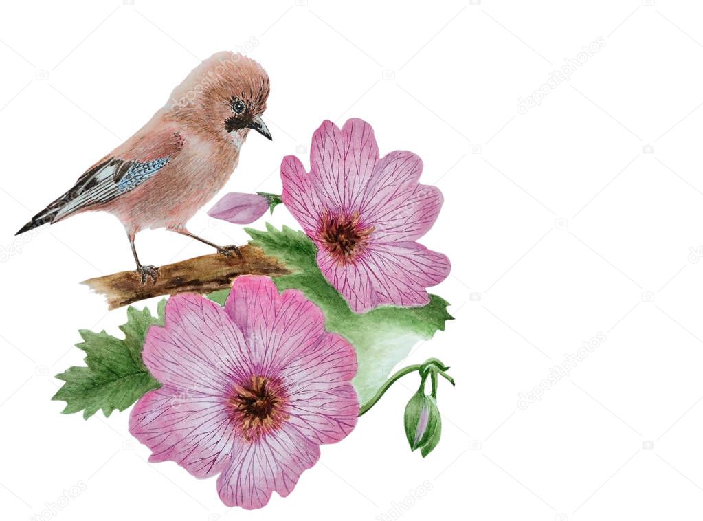  flowers geranium and bird on branch