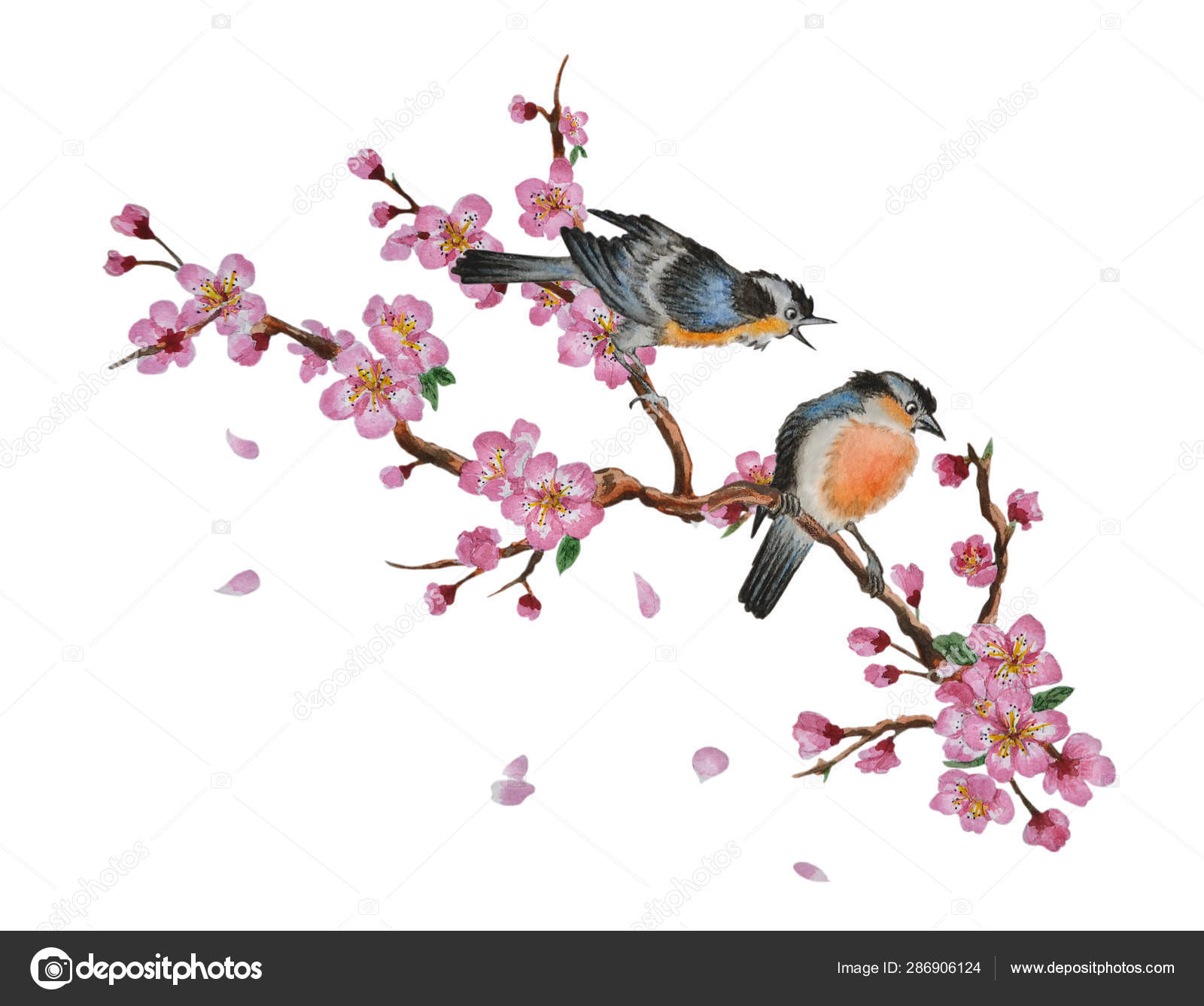 Cherry blossom and two birds on tree Stock Photo by ©Veremii 286906124