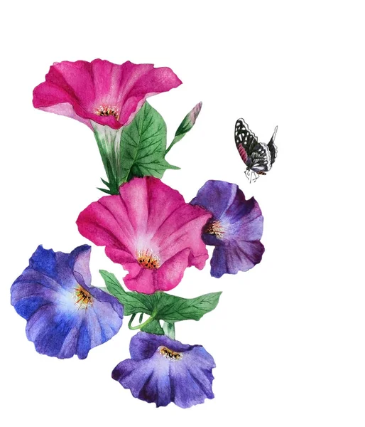 Watercolor with a flowering branch purple bindweed — Stock Photo, Image