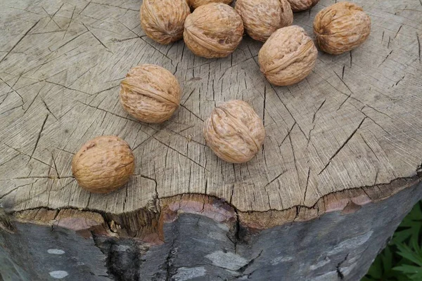 Close Walnuts Walnuts Fundo Madeira — Fotografia de Stock