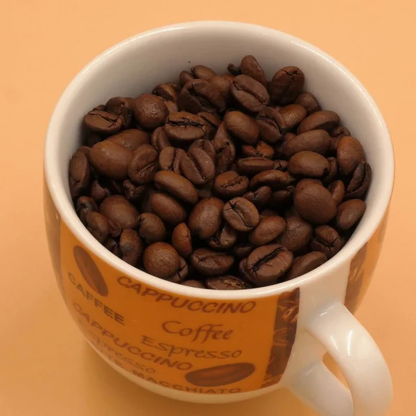 Cup Coffee Coffee Grinder Coffee Beans — стоковое фото