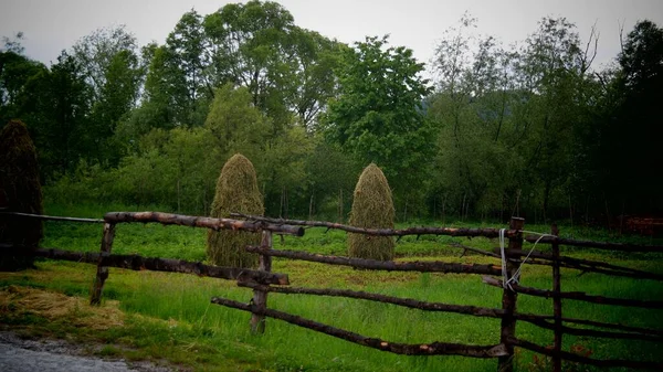 fence in the field.old wooden fence.old wooden fence