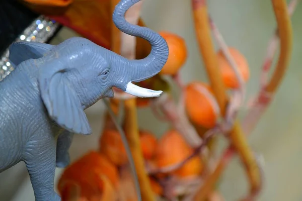 Horse Yellow Rose Blue Background Elephant Cage Elephant Close Eines — Stockfoto