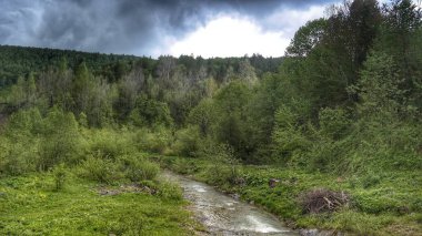 Dağlardaki yol. Ormandaki yol. Dağlardaki dağ yolu. Dağlardaki köy. Dağlardaki orman.