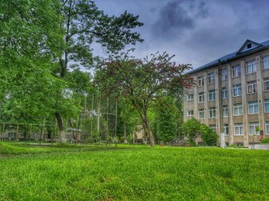 Parkdaki ev. Parkın parkındaki ağaçlar. Parkın oradaki bina. Eski evdeki fırtına.