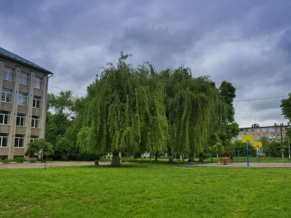 Parkdaki Parkın Parkındaki Ağaçlar Parkın Oradaki Bina Eski Evdeki Fırtına — Stok fotoğraf