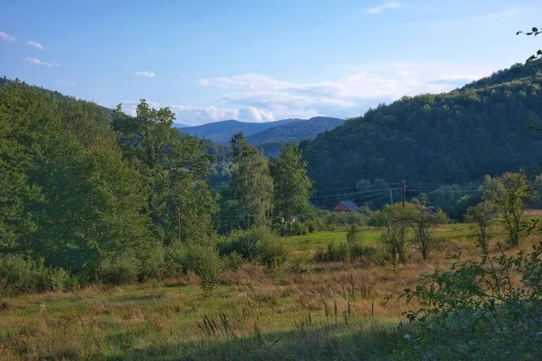 Paesaggio Montano Con Alberi Mattina Sulle Montagne Panorama Delle Montagne — Foto Stock