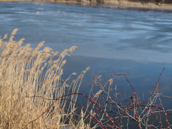 Frozen Lake Winter Winter Landscape Winter Landscape River Blue Sky — Stock Photo, Image