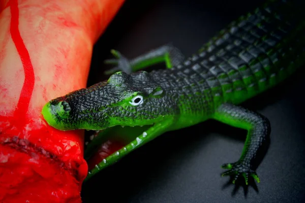 blood on the hand.crocodile eat people hand.crocodile on the hunt.crocodile eat hand.crocodile hunt\'s.crocodile.