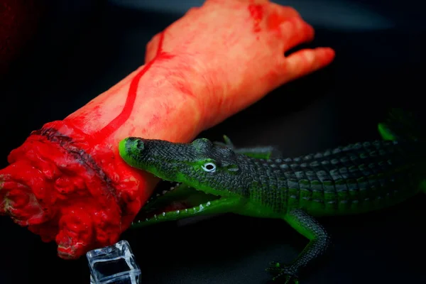 blood on the hand.crocodile eat people hand.crocodile on the hunt.crocodile eat hand.crocodile hunt\'s.crocodile.