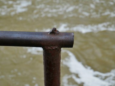 Su dama akıyor. Nehir üzerindeki baraj. Yosemite.Köprü Thames nehrinin üzerinde.
