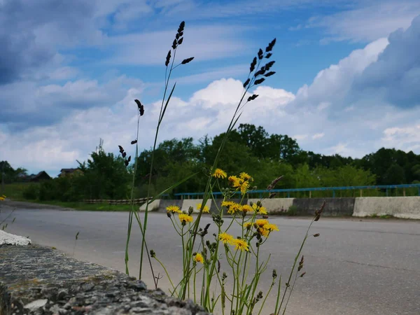 Voda Tekoucí Přehrady Přehrady Řekě Jezero Josemite Most Přes Řeku — Stock fotografie