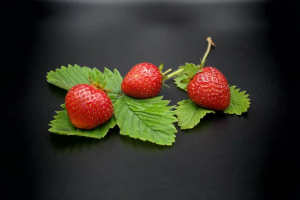 Strawberry Black Background Strawberry Black — стоковое фото