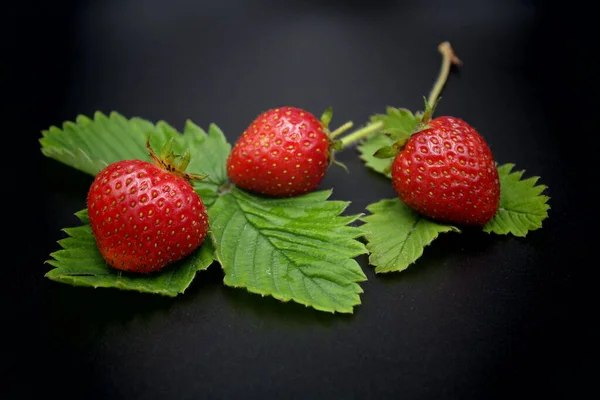 Strawberry Black Background Strawberry Black — стоковое фото