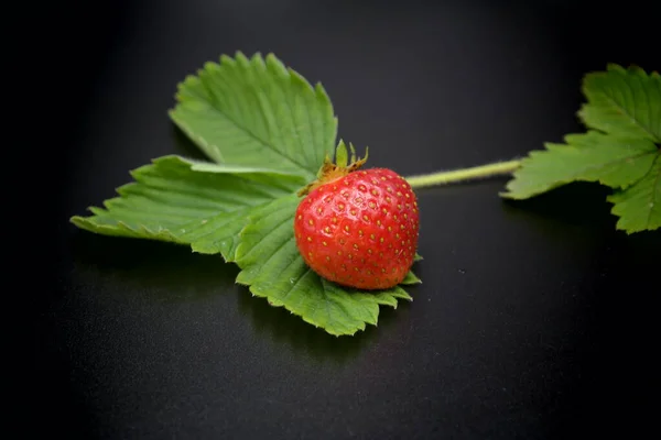 Strawberry Black Background Strawberry Black — стоковое фото