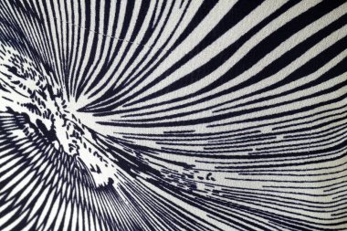 Siyah ve beyaz soyut arkaplan. Soyut fraktal arkaplan. Fraktal patlama arkaplan. Siyah ve beyaz arkaplan. Siyah ve beyaz çizgiler.