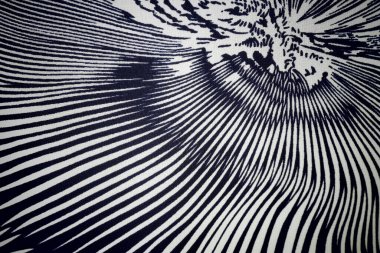 Siyah ve beyaz soyut arkaplan. Soyut fraktal arkaplan. Fraktal patlama arkaplan. Siyah ve beyaz arkaplan. Siyah ve beyaz çizgiler.