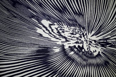 Siyah ve beyaz soyut arkaplan. Soyut fraktal arkaplan. Fraktal patlama arkaplan. Siyah ve beyaz arkaplan. Siyah ve beyaz çizgiler.