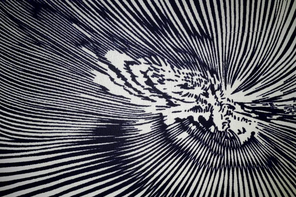 Siyah ve beyaz soyut arkaplan. Soyut fraktal arkaplan. Fraktal patlama arkaplan. Siyah ve beyaz arkaplan. Siyah ve beyaz çizgiler.