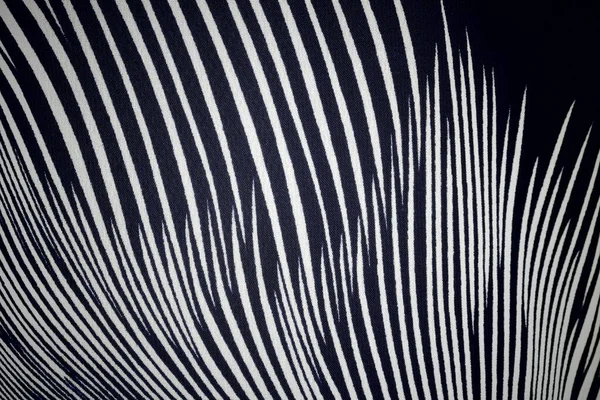 Negro Blanco Abstracto Background Abstract Fractal Background Fractal Explosión Background — Foto de Stock