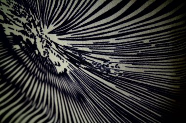 Siyah ve beyaz soyut arkaplan. Soyut fraktal arkaplan. Fraktal patlama arkaplan. Siyah ve beyaz arkaplan. Siyah ve beyaz çizgiler.