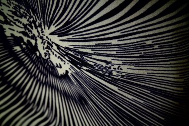 Siyah ve beyaz soyut arkaplan. Soyut fraktal arkaplan. Fraktal patlama arkaplan. Siyah ve beyaz arkaplan. Siyah ve beyaz çizgiler.