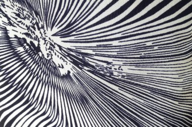 Siyah ve beyaz soyut arkaplan. Soyut fraktal arkaplan. Fraktal patlama arkaplan. Siyah ve beyaz arkaplan. Siyah ve beyaz çizgiler.