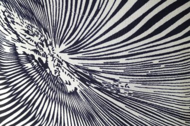 Siyah ve beyaz soyut arkaplan. Soyut fraktal arkaplan. Fraktal patlama arkaplan. Siyah ve beyaz arkaplan. Siyah ve beyaz çizgiler.