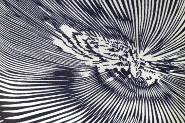 Siyah ve beyaz soyut arkaplan. Soyut fraktal arkaplan. Fraktal patlama arkaplan. Siyah ve beyaz arkaplan. Siyah ve beyaz çizgiler.