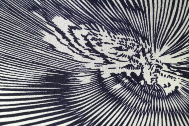 Siyah ve beyaz soyut arkaplan. Soyut fraktal arkaplan. Fraktal patlama arkaplan. Siyah ve beyaz arkaplan. Siyah ve beyaz çizgiler.