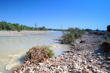 Plaj ve ağaçlar. Ormandaki göl ve orman. Ormandaki nehir. Nehir ve sahil..