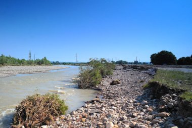 Plaj ve ağaçlar. Ormandaki göl ve orman. Ormandaki nehir. Nehir ve sahil..
