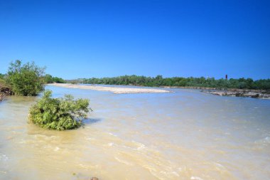 Plaj ve ağaçlar. Ormandaki göl ve orman. Ormandaki nehir. Nehir ve sahil..