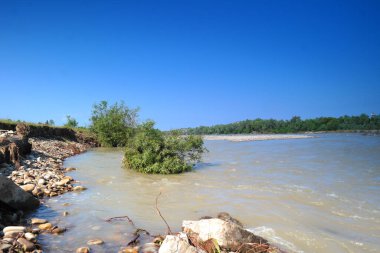 Plaj ve ağaçlar. Ormandaki göl ve orman. Ormandaki nehir. Nehir ve sahil..