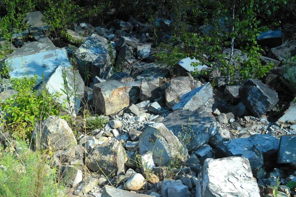 Rochers Dans Forêt — Photo