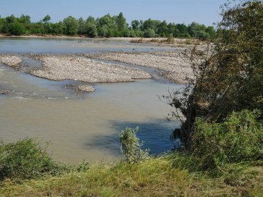 Plaj ve ağaçlar. Ormandaki göl ve orman. Ormandaki nehir. Nehir ve sahil..