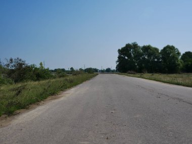 Plaj ve ağaçlar. Ormandaki göl ve orman. Ormandaki nehir. Nehir ve sahil..