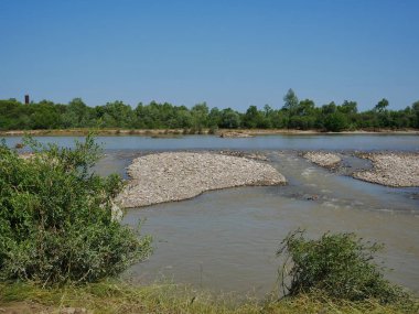 Plaj ve ağaçlar. Ormandaki göl ve orman. Ormandaki nehir. Nehir ve sahil..