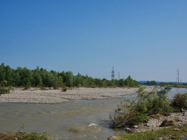 Plaj ve ağaçlar. Ormandaki göl ve orman. Ormandaki nehir. Nehir ve sahil..