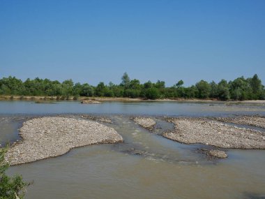 Plaj ve ağaçlar. Ormandaki göl ve orman. Ormandaki nehir. Nehir ve sahil..