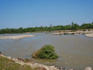 Plaj ve ağaçlar. Ormandaki göl ve orman. Ormandaki nehir. Nehir ve sahil..